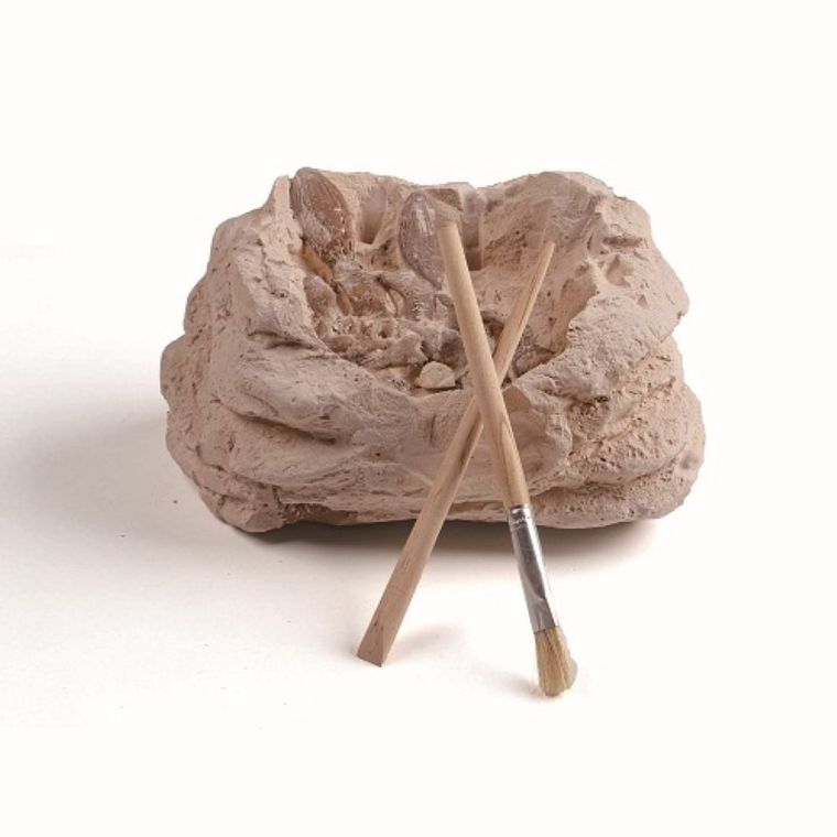 Smiki, Kit excavare, craniu de dinozaur, set de stiinta