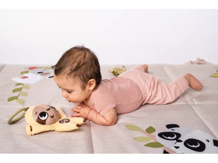 Tiny Love, Boho, Tiny Smarts, Lenesul Mark, Jucarie muzicala cu agatatoare