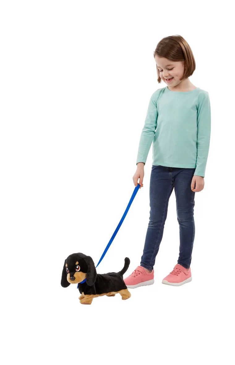 AniMagic, caine Waggles, jucarie interactiva