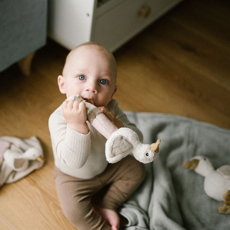 BabyOno, Goose Zoe, chitaitoare cu element de dentitie