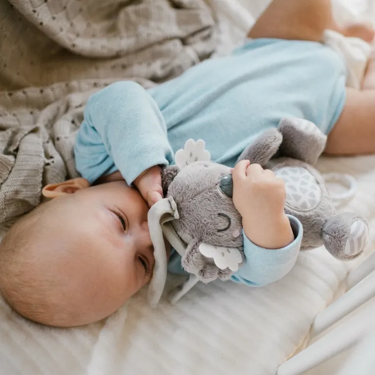 BabyOno, Koala Coco, jucarie muzicala