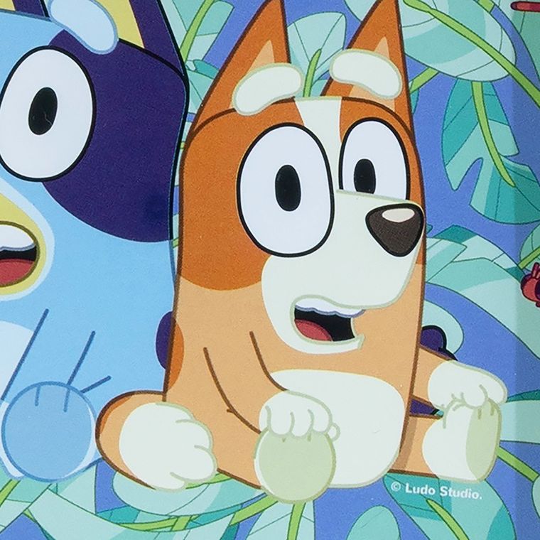 Bluey, set: cutie pentru pranz + sticla de apa