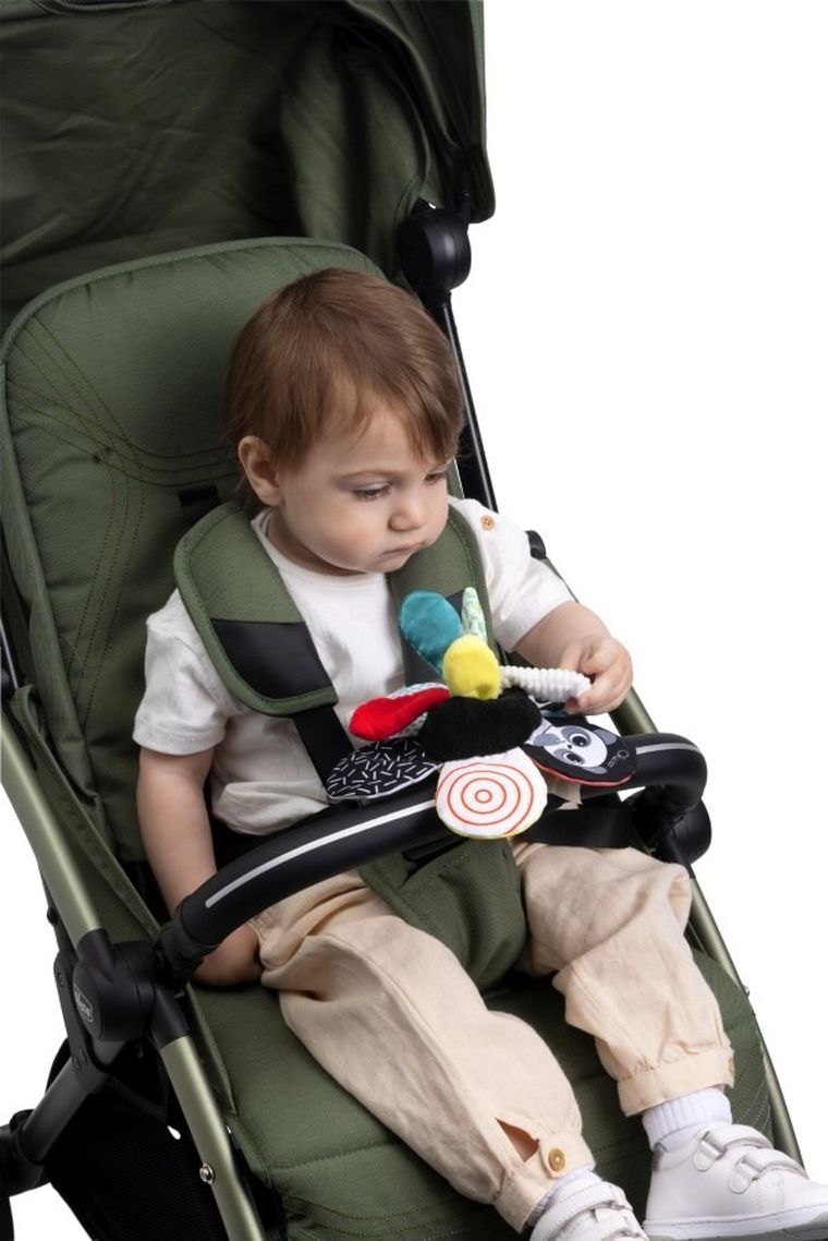 Chicco, Baby Sense & Focus, Floare, pandantiv contrastant