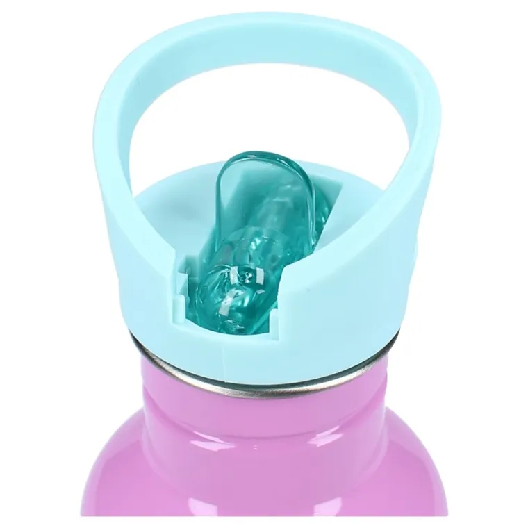 Gabby's Dollhouse, Take a sip, sticla da apa cu pai, roz, 500 ml