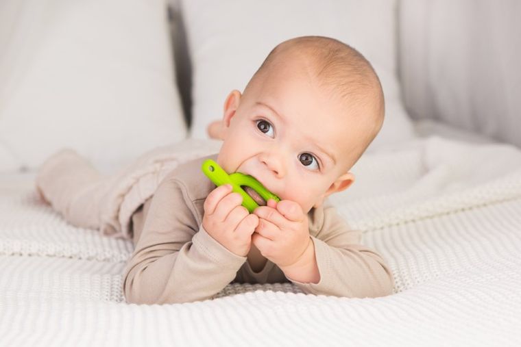 GiliGums, Cactus, jucarie dentitie din silicon, verde