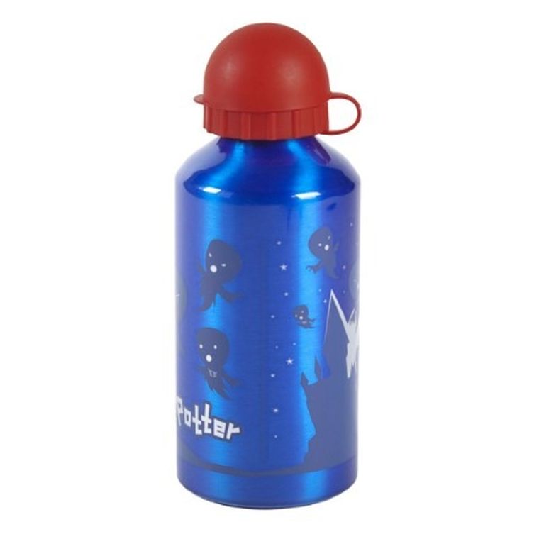 Harry Potter, rucsac gradinita 3D cu sticla de apa