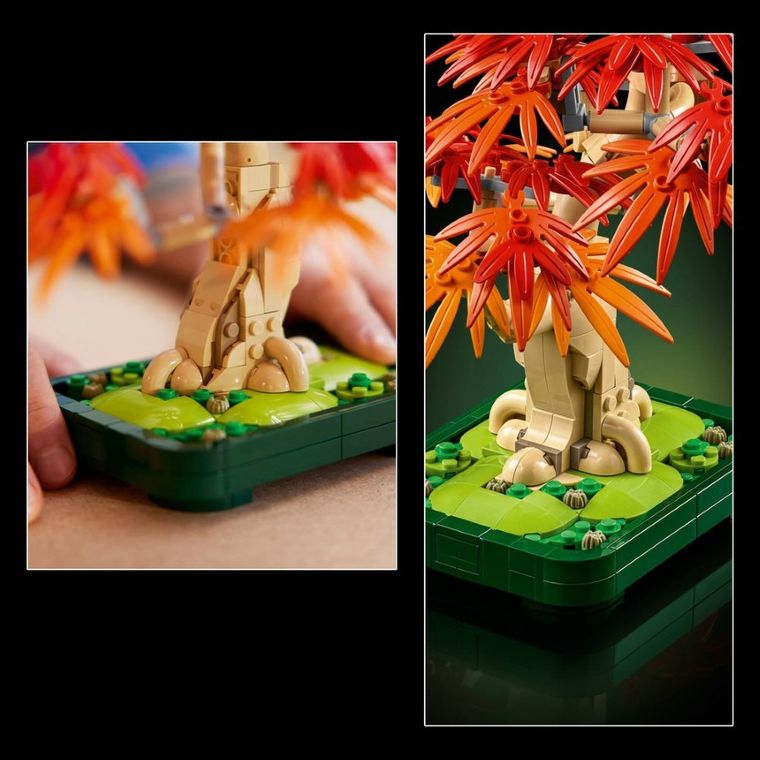 LEGO Botanicals, Bonsai de artar japonez rosu, 10348