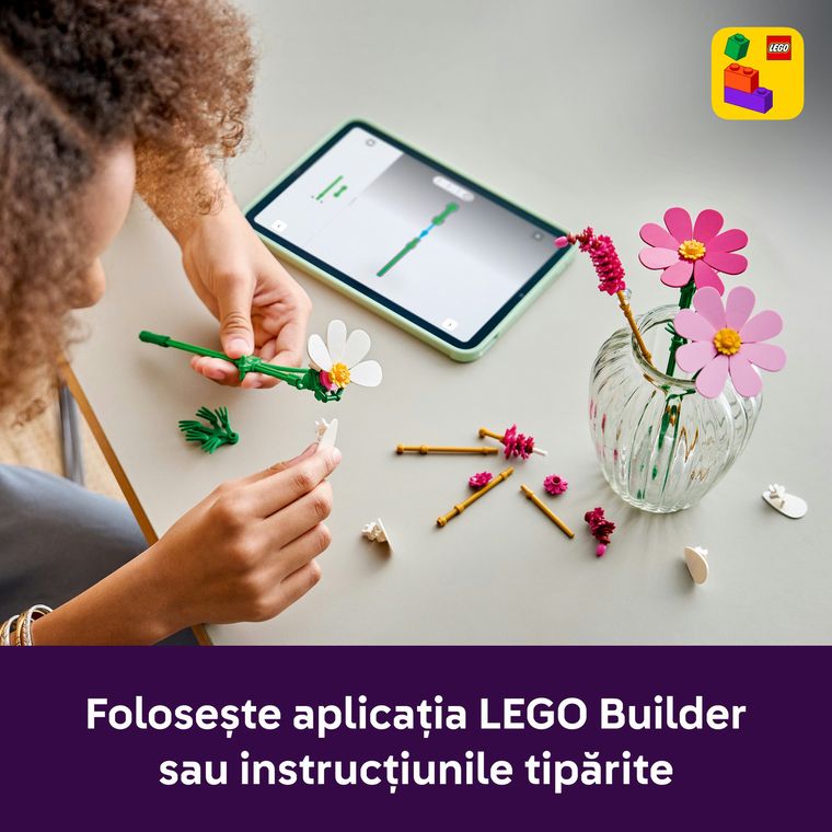 LEGO Botanicals, Fluturasi, 11514