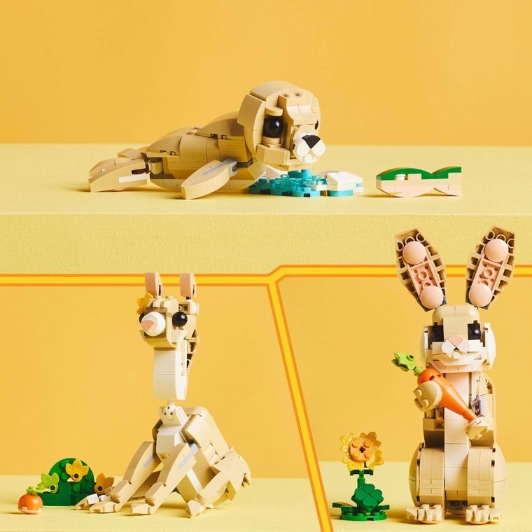 LEGO Creator, Iepuras dragalas, 31162