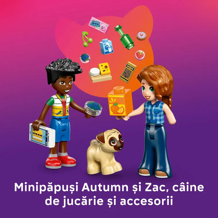 LEGO Friends, Magazinas in orasul Heartlake, 42680