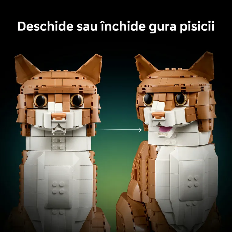 LEGO Ideas, Pisica portocalie, 21376
