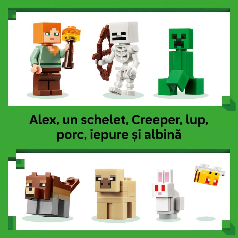 LEGO Minecraft, Prima aventura pe timp de noapte, 21593