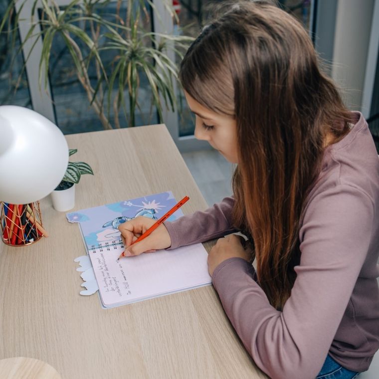 Lilo si Stitch, caiet, A5, 80 foi, 1 buc.