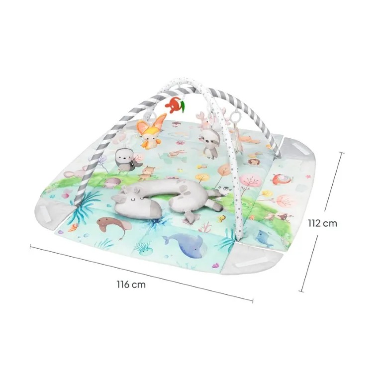 Lionelo, Anika, covoras educativ, natural