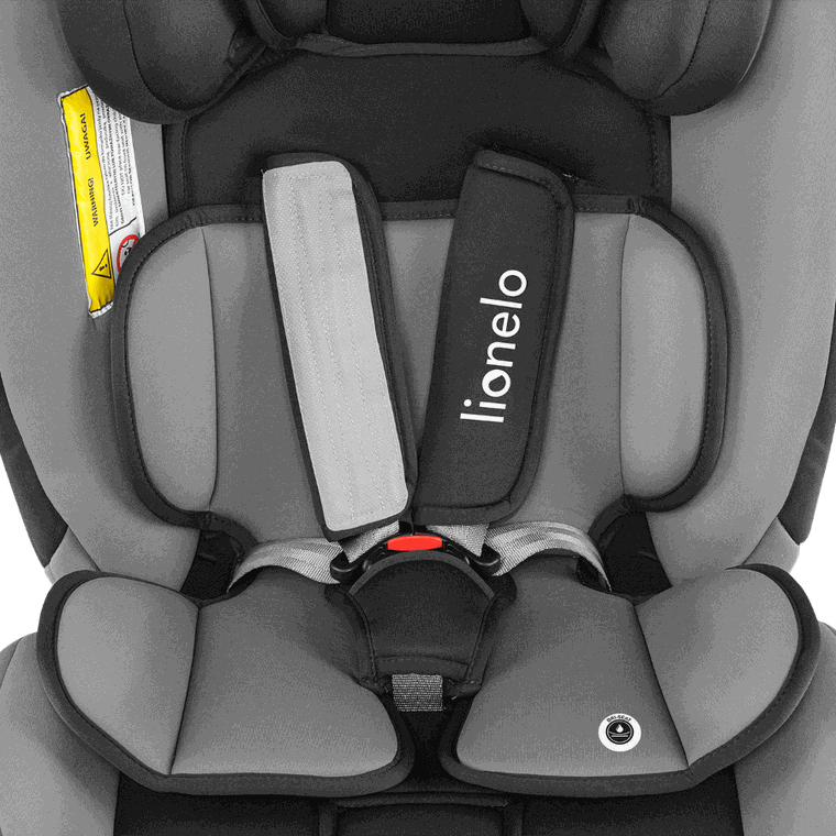 Lionelo, Sander, scaun auto, 0-36 kg, Grey