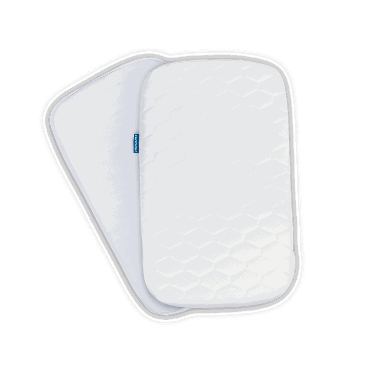 Lionelo, Timon, patut suplimentar, graphite