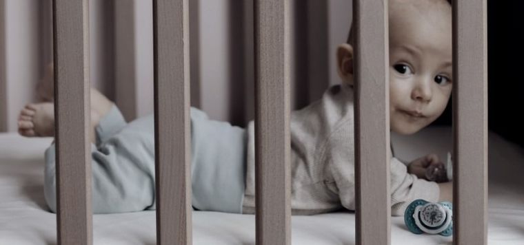 Lovi, Botanic Boy, suzeta dinamica din silicon, 18 luni+, 2 buc.