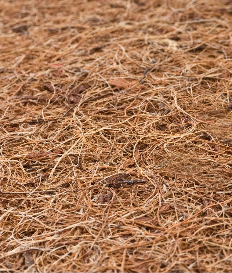 Sensillo, Luxe aloe vera, saltea, hrisca-spuma-cocos, 120×60-11 cm
