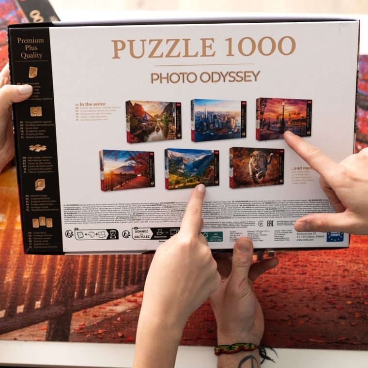 Trefl, Premium Plus, Photo Odyssey, Spirit Island, Canada, puzzle, 1000 piese