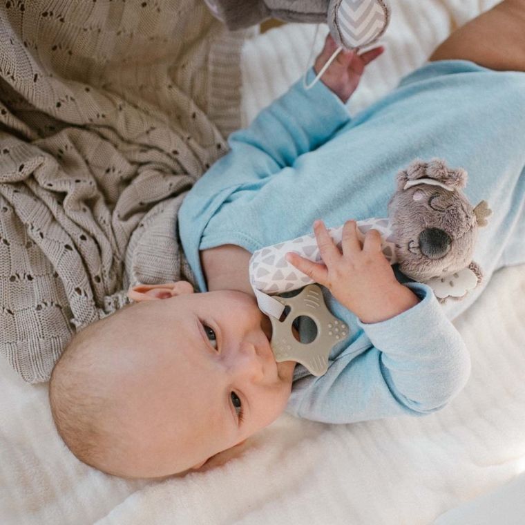 BabyOno, Koala Coco, chitaitoare cu element de dentitie