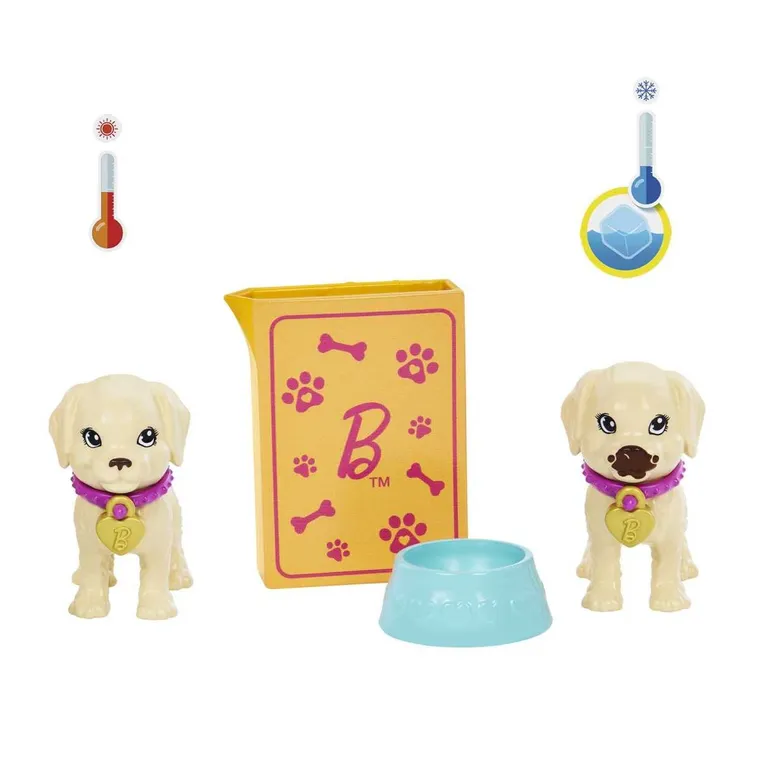 Barbie, Adoptia puilor, set cu papusa si accesorii