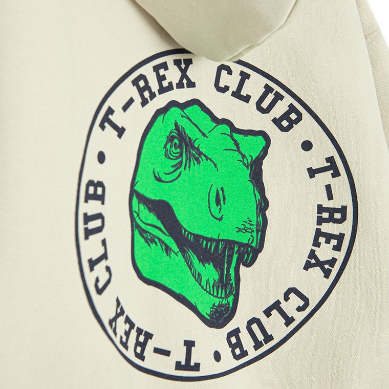 Cool Club, Hanorac cu gluga pentru baieti, cu fermoar, bej