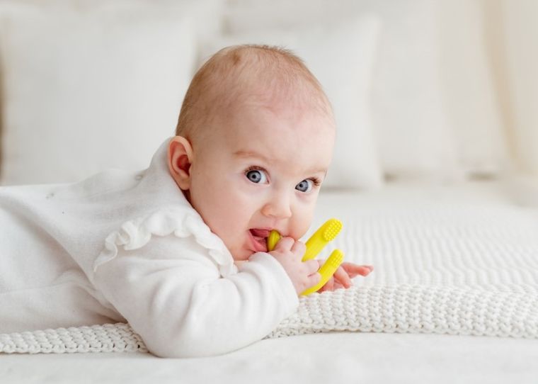 GiliGums, Cactus, jucarie dentitie din silicon, verde