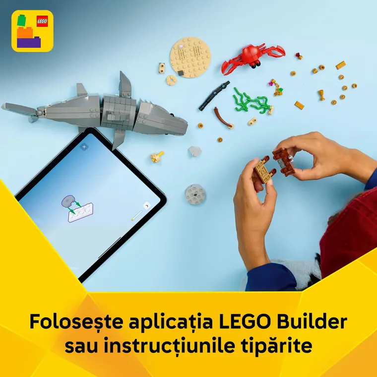 LEGO Creator, Rechin feroce cu un cufar de comori, 31381