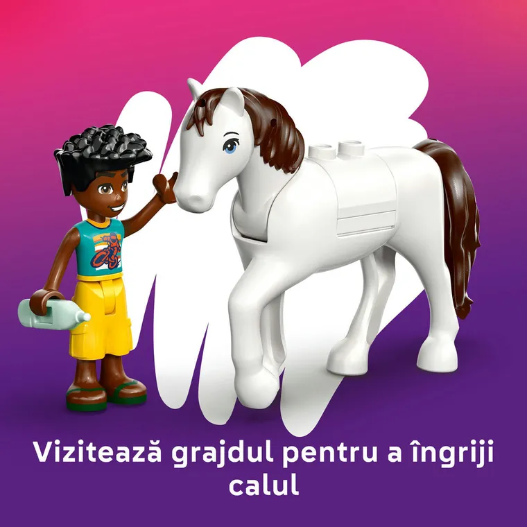 LEGO Friends, Clinica veterinara, 42696