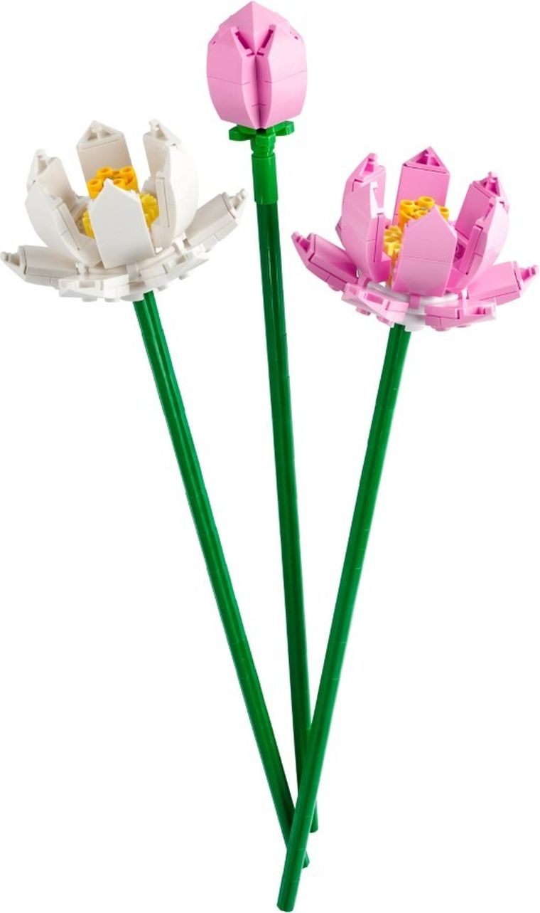 LEGO Iconic, Flori de lotus, 40647