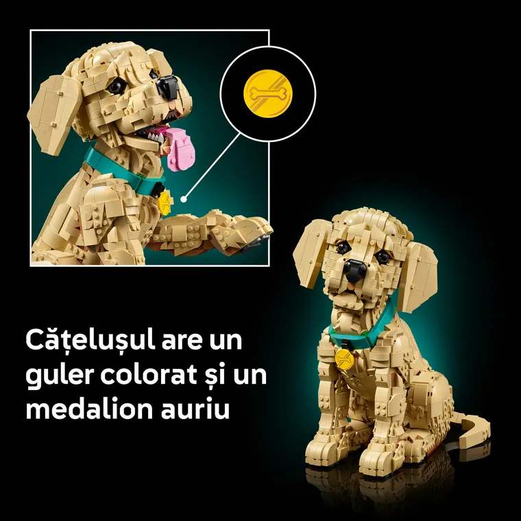 LEGO Icons, Catelus Golden Retriever, 11384