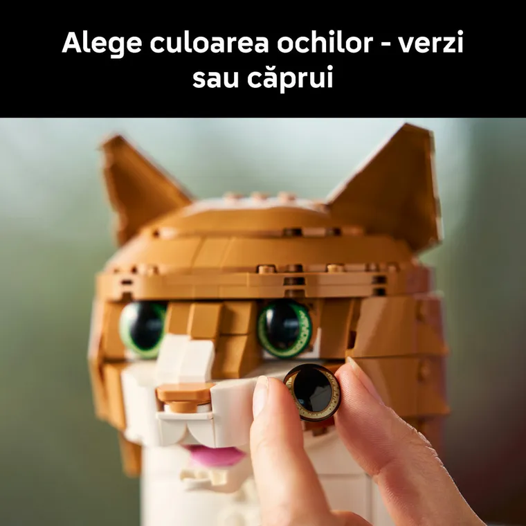 LEGO Ideas, Pisica portocalie, 21376