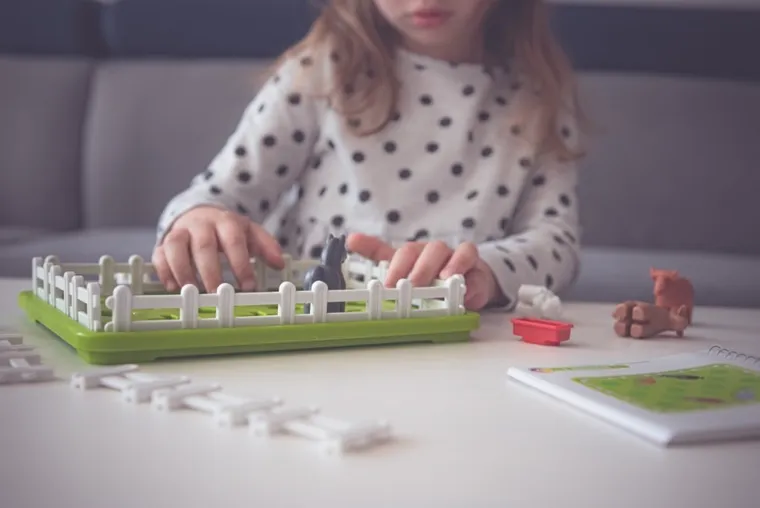 Smart Games, Animalutele de la tara, joc de logica