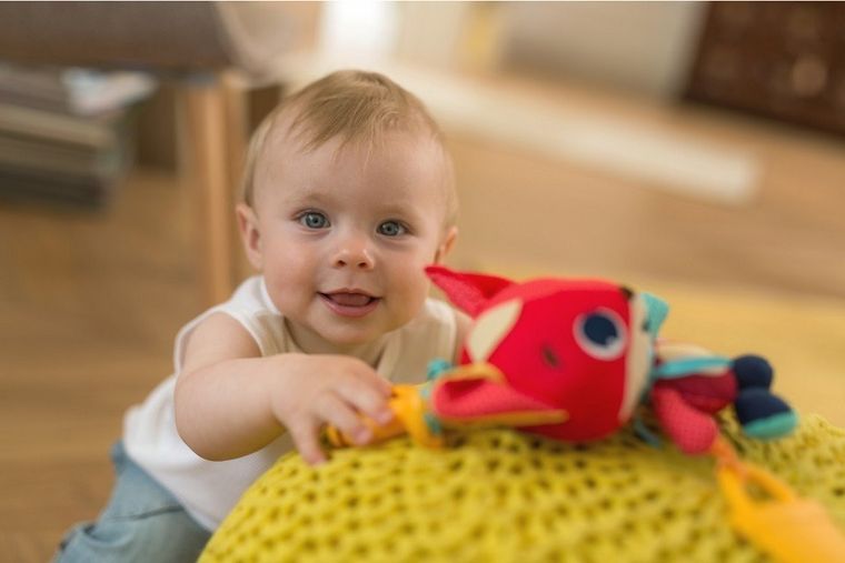 Tiny Love, Tiny Smarts, Vulpita Christopher, jucarie vibranta cu agatatoare