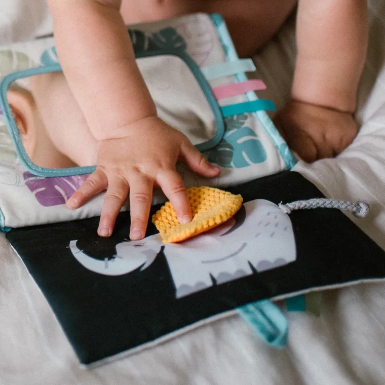 BabyOno, Safari, carticica senzoriala