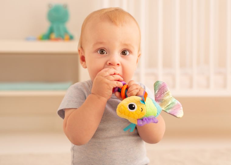 Balibazoo, pestisorul Felicity, jucarie zornaitoare