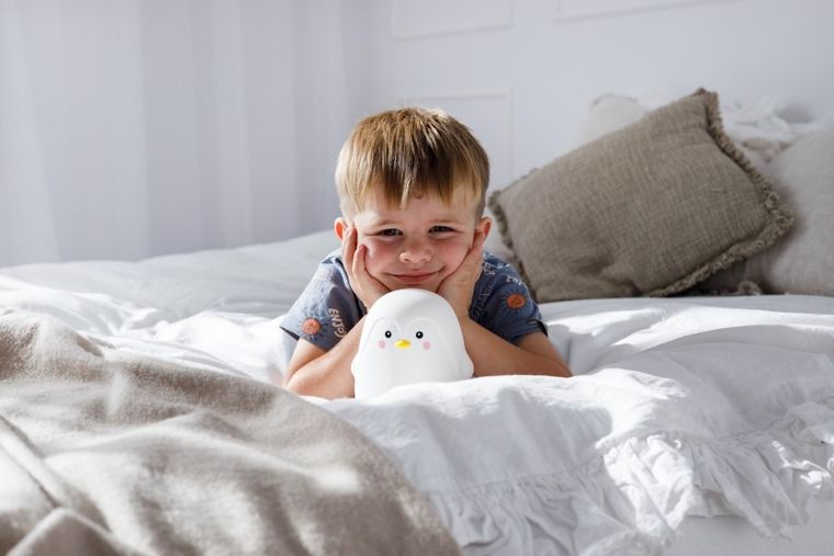InnoGIO, GIOpenguin, veioza din silicon, Pinguin