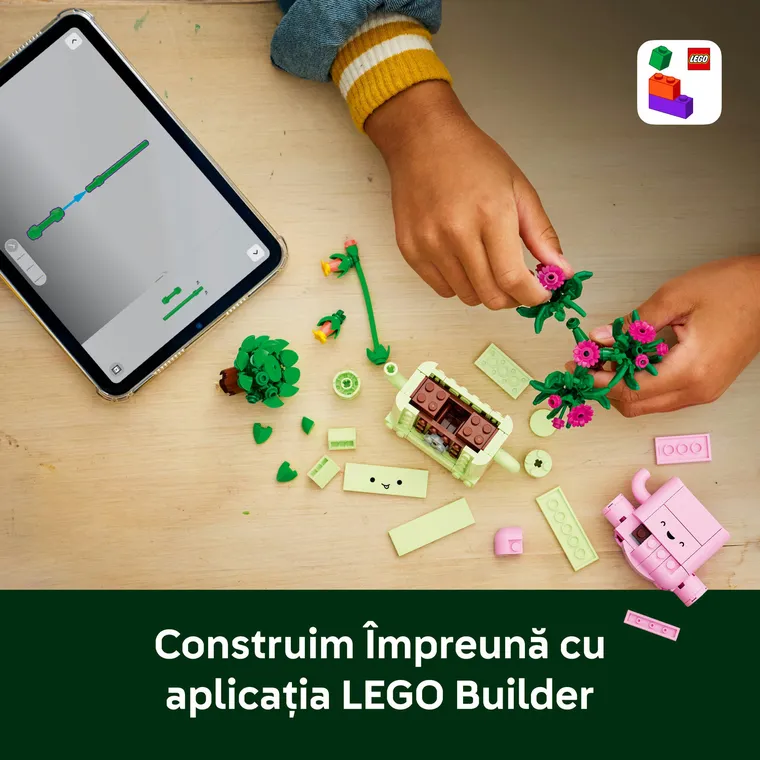 LEGO Botanicals, Plante leganatoare, 11506