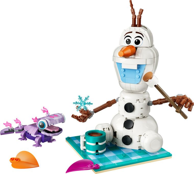 LEGO Disney Princess, Distractie la picnic cu Olaf si Bruni, 43287