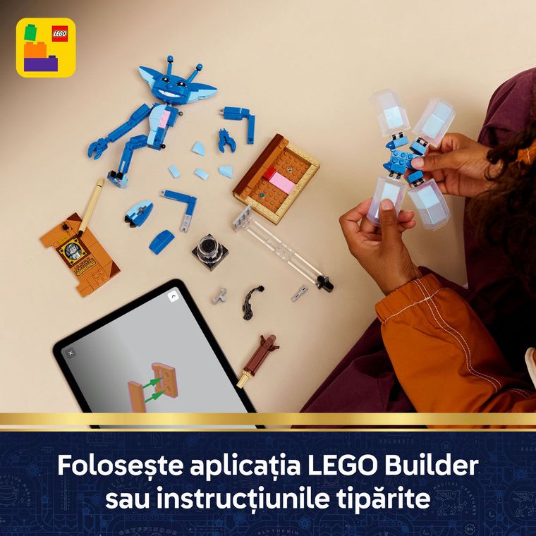 LEGO Harry Potter, Spiridus din Cornwall, 76461