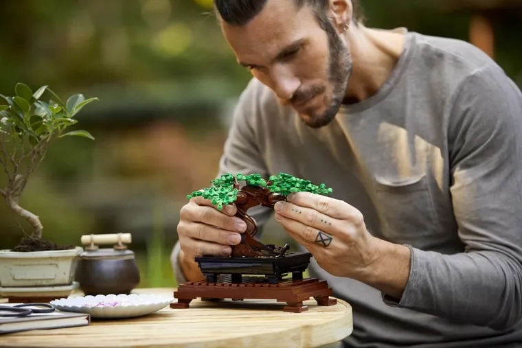 LEGO Icons, Bonsai, 10281