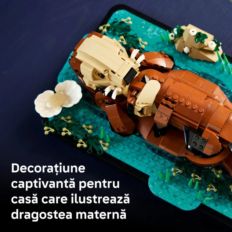 LEGO Ideas, Vidre plutind pe apa, 21366