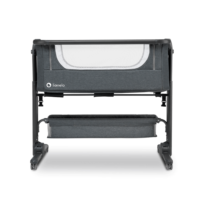 Lionelo, Timon, patut suplimentar, graphite