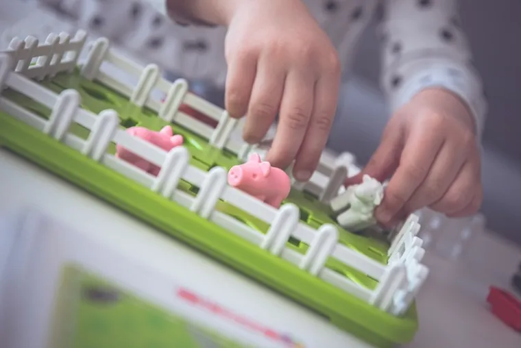 Smart Games, Animalutele de la tara, joc de logica