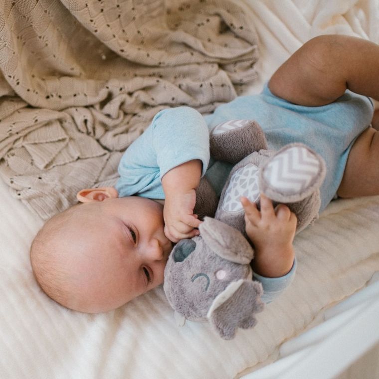 BabyOno, Koala Coco, jucarie de plus