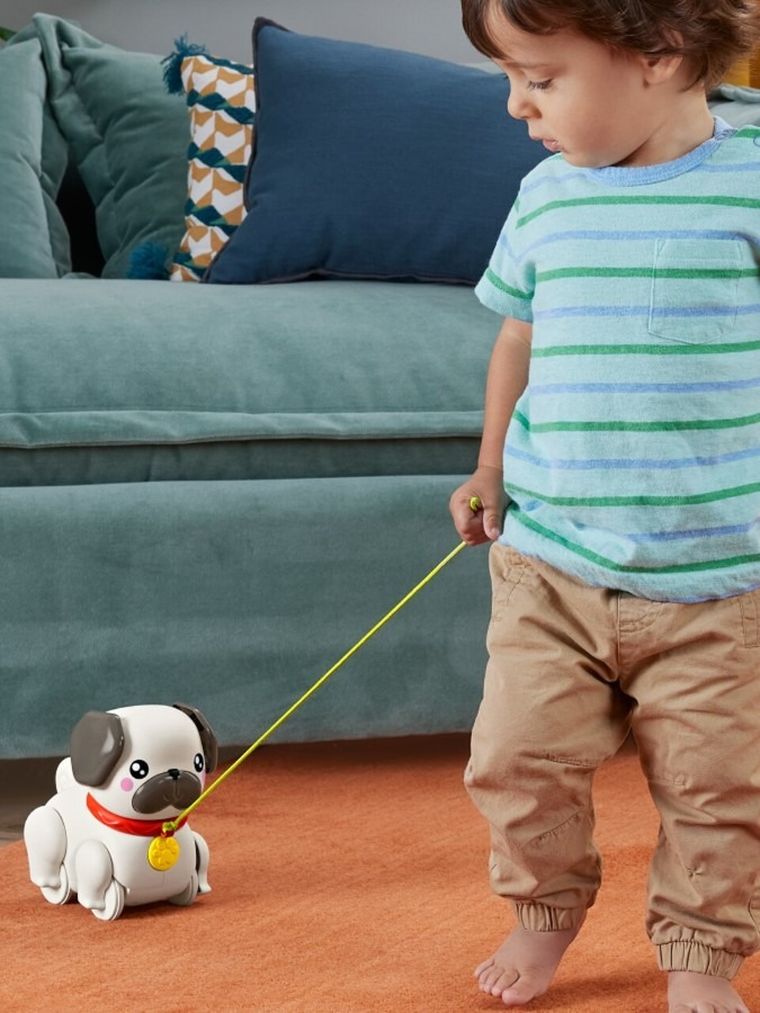 Fisher-Price, Pets, Walk-The-Pup Pug, jucarie trage