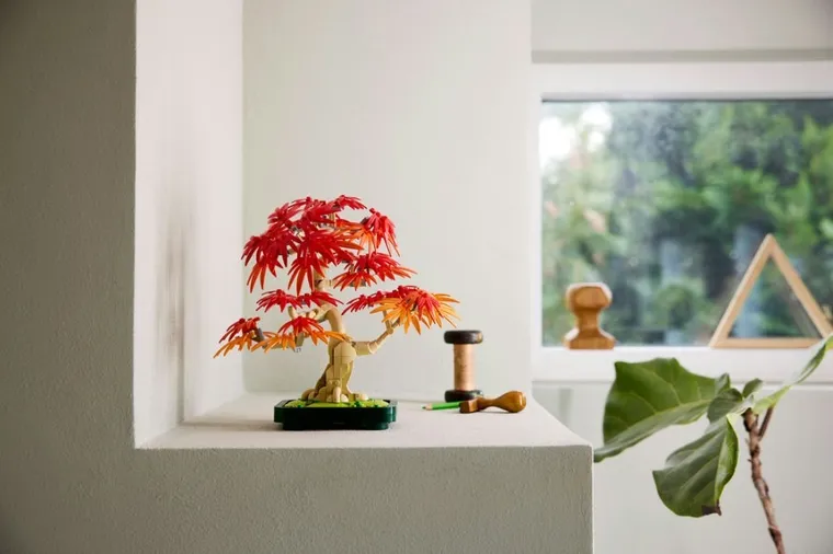 LEGO Botanicals, Bonsai de artar japonez rosu, 10348