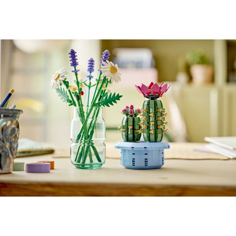 LEGO Botanicals, Cactus inflorit, 11509