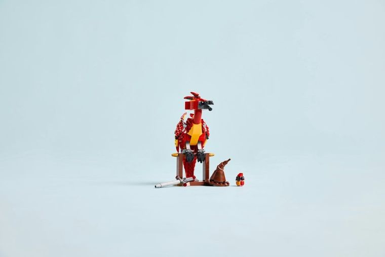 LEGO Harry Potter TM, Fawkes: Phoenixul lui Dumbledore, 76448