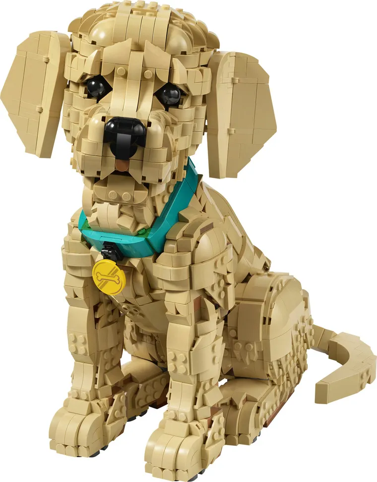 LEGO Icons, Catelus Golden Retriever, 11384